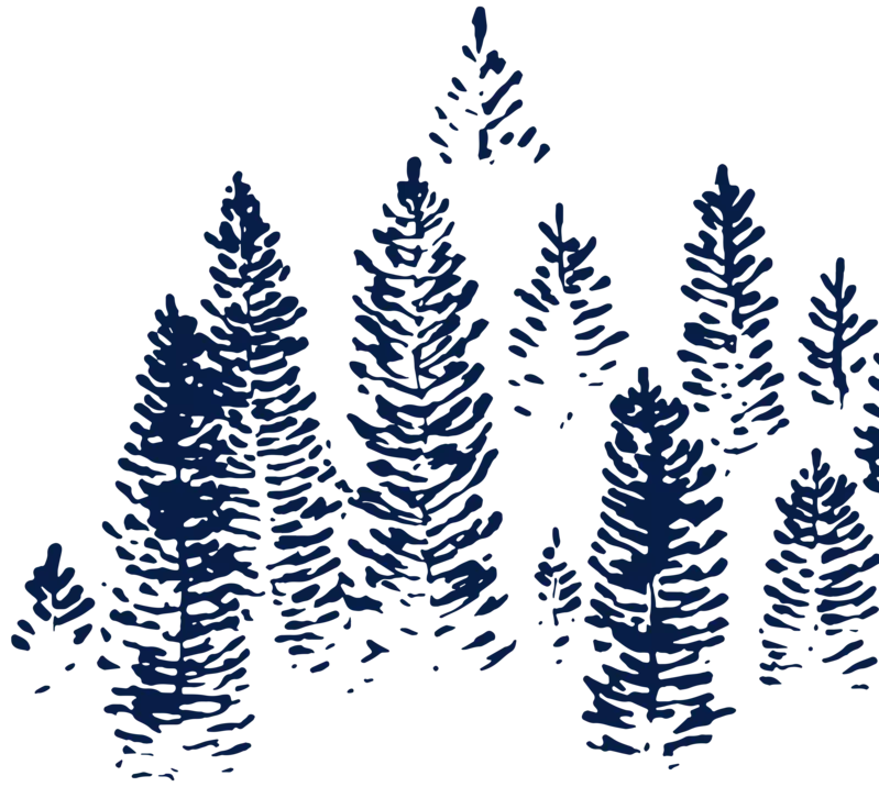 tree sketch