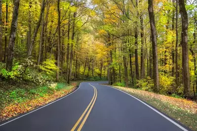 Great Smoky Mountains fall foliage on backroad