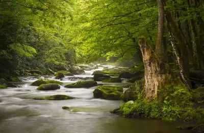 river in Gatlinburg