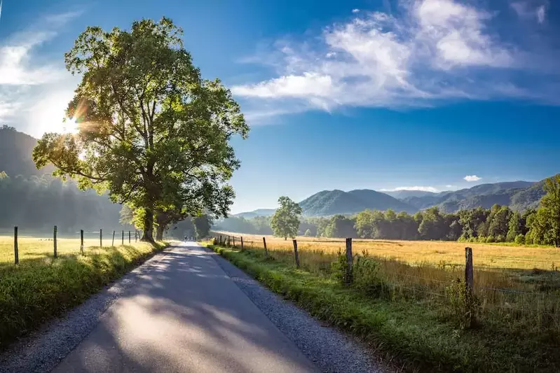 cades cove road smoky mountains