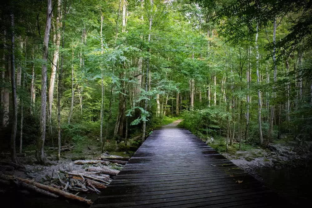 Little River Trail in the Smoky Mountains