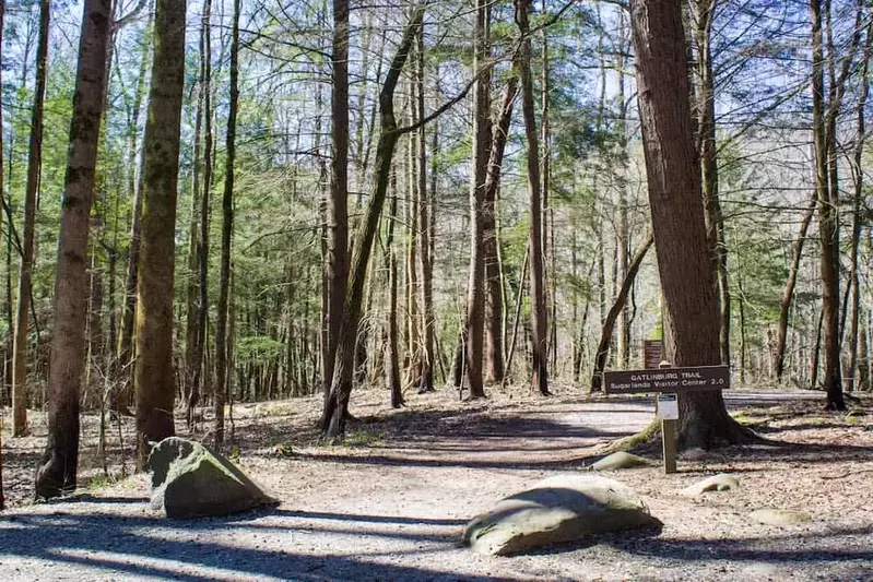 gatlinburg trail smoky mountains