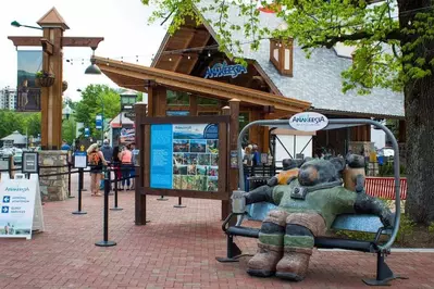Anakeesta in Gatlinburg during spring