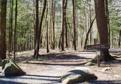 Gatlinburg Trail in the Smoky Mountains