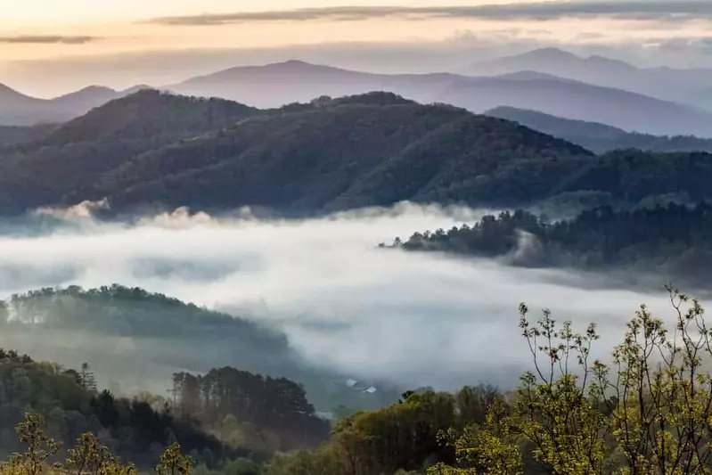 spring morning in the smokies