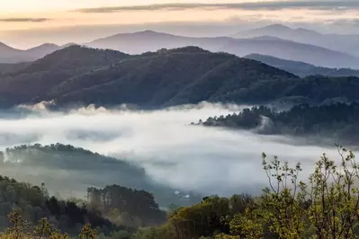 spring morning in the smokies