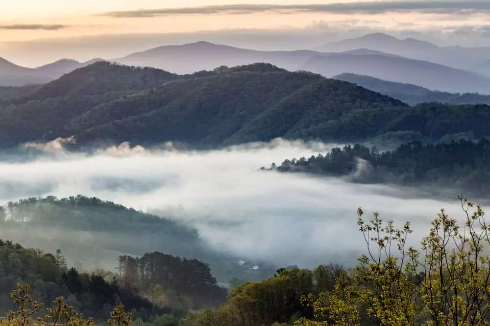 spring morning in the smokies