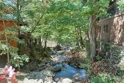 river view