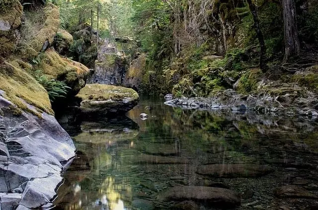 calm reflecting river in smoky mountains