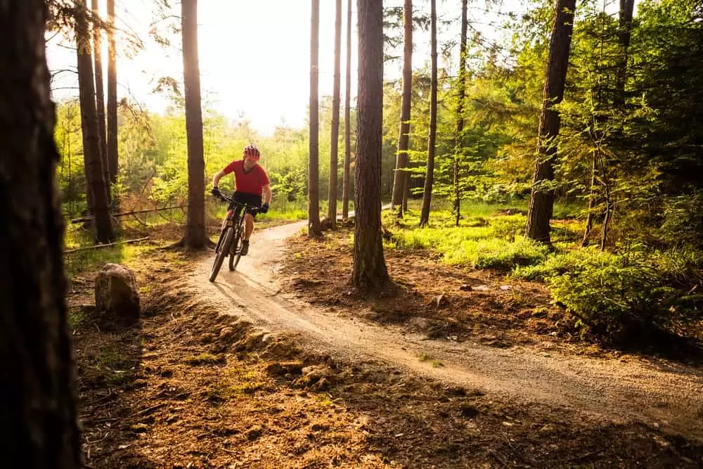 Mountain Biker