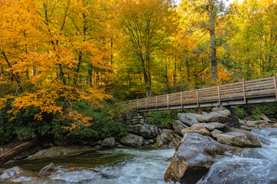 smoky mountains fall colors