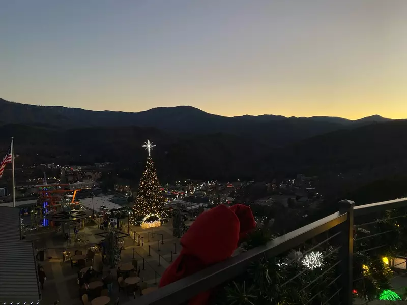 Christmas Tree at SkyPark