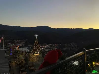 Christmas Tree at SkyPark
