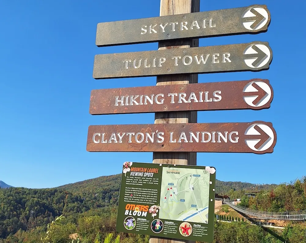hiking trails gatlinburg skypark