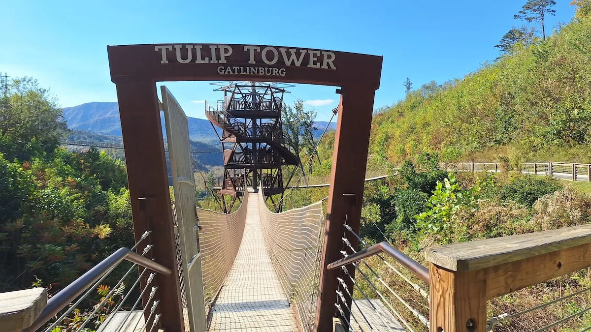 tulip tower gatlinburg skypark